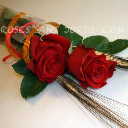 ENVIAR ROSAS A DOMICILIO (2)