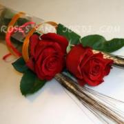 ENVIAR ROSAS A DOMICILIO (2)