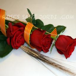 ENVIAR ROSAS A DOMICILIO (3)